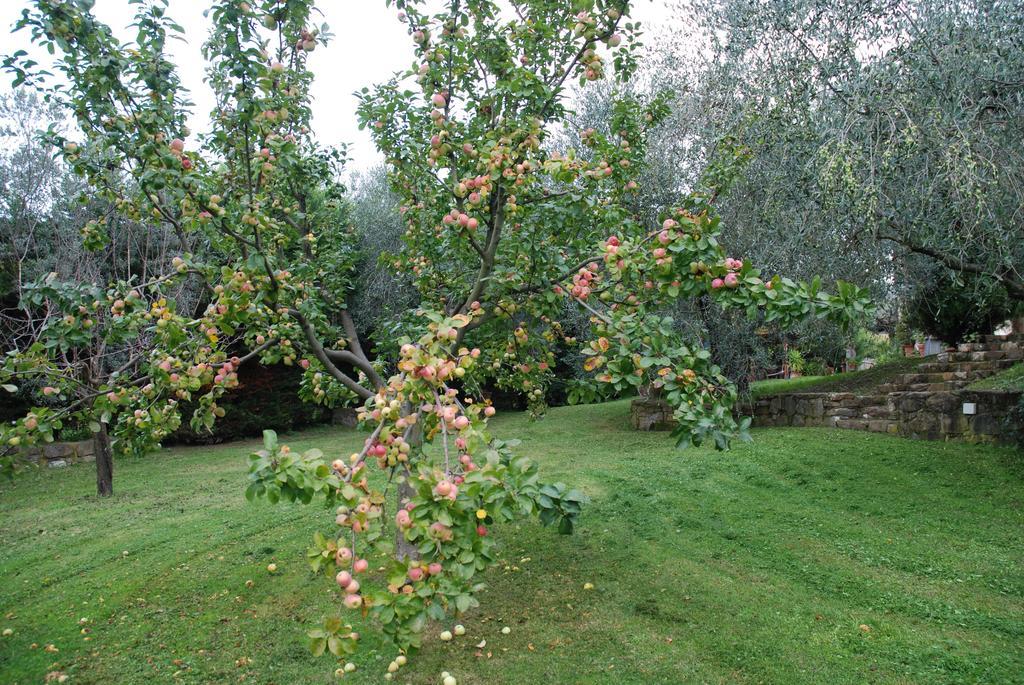 Podere Le Buche Pelago Екстериор снимка